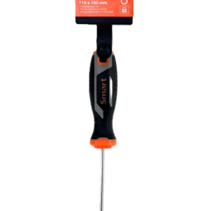 DESTORNILL.TORX T10 X100 MM