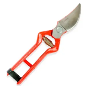 TIJERA PODAR 21 CMS. HOJA PULIDA (01A21L)