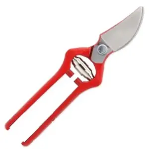 TIJERA PODAR 21 CMS. HOJA PULIDA (04G21V)