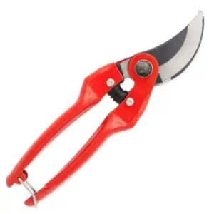 TIJERA PODAR 23 CM. M/METAL ESTAMPADO (01R23)