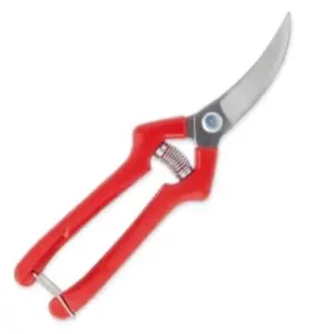 TIJERA PODAR 19 CM. COSECHA AJOS M/PLAST (03H19)