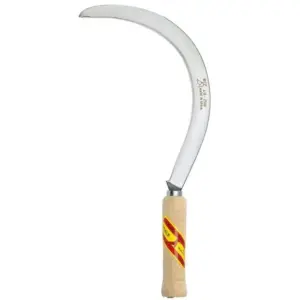 ECHONA REMOLACHERA  PULIDA (1006-4/0)