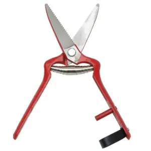 TIJERA VENDIMIA RECTA  "LA PAJARITA (1027)