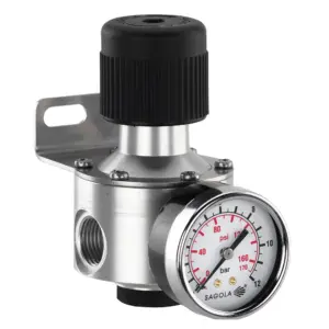 REGULADOR PRESION 430 PLUS 1/4 (10740503)