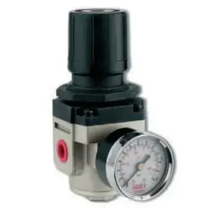 REGULADOR DE PRESION #RA302 []1/4" (40000185)
